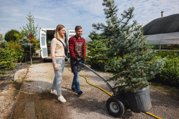 Best Lawn Watering Services  in Princeton, MN